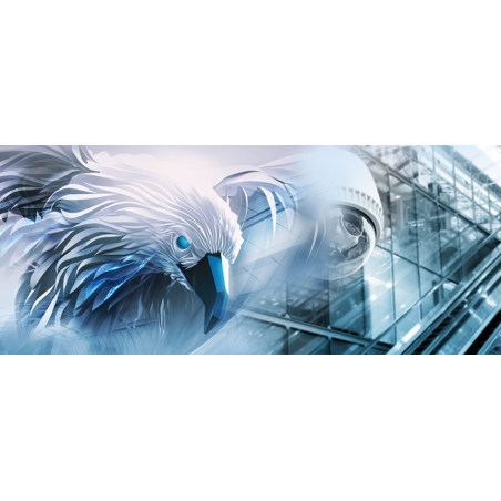 AD-WD8TB-CV    8TB Surveillance Hard Drive