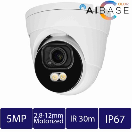 CAM-IP3135W-AA-SI-Z-AI